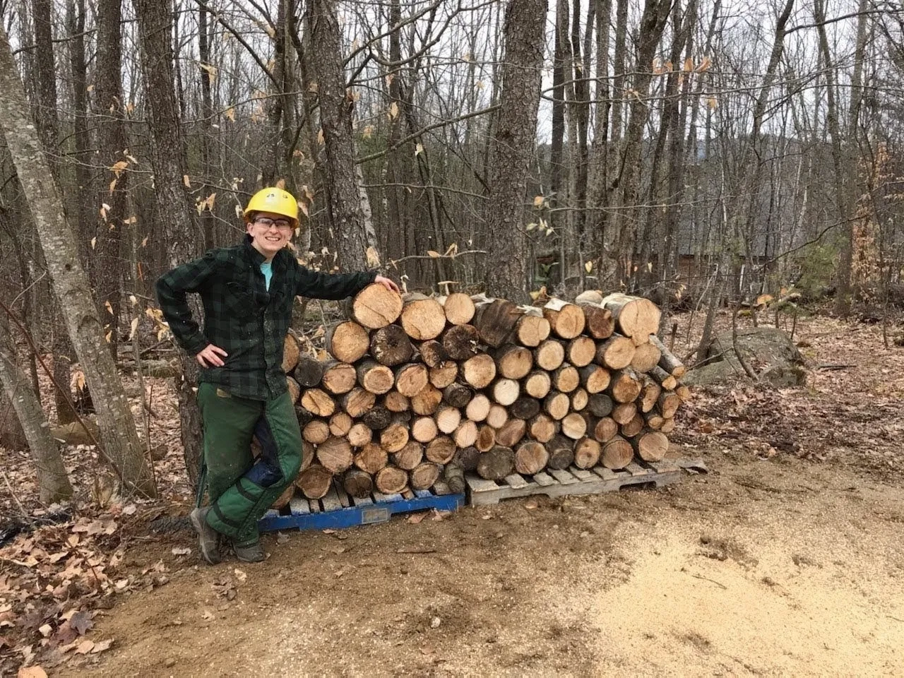 Alternative text for describing the image displayed