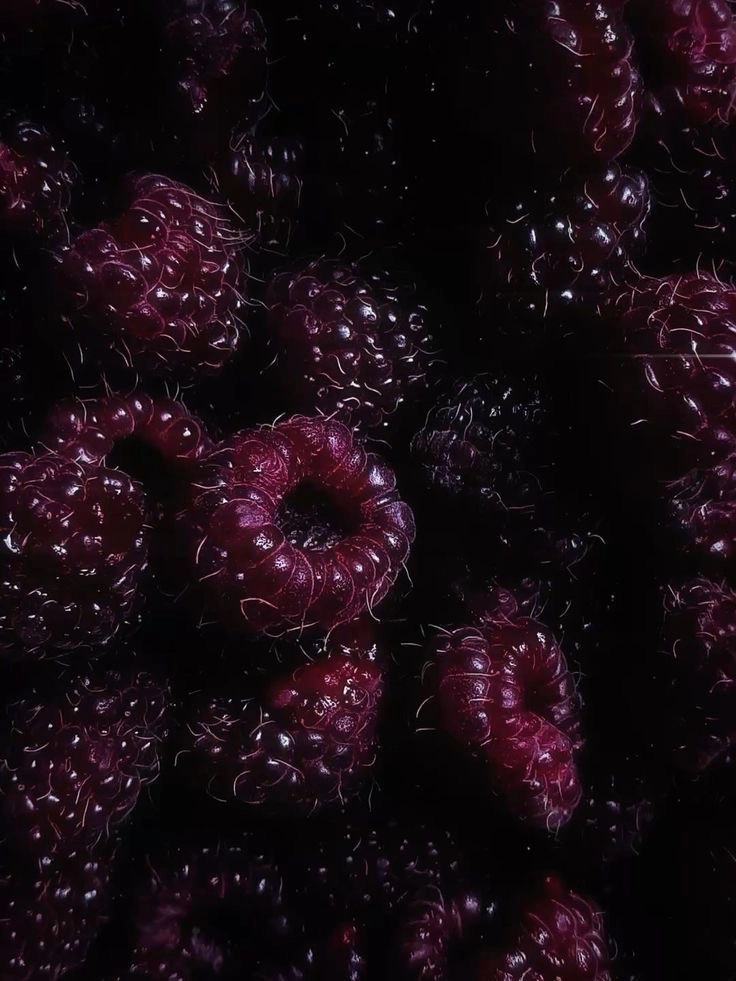 Alternative text for describing the image displayed