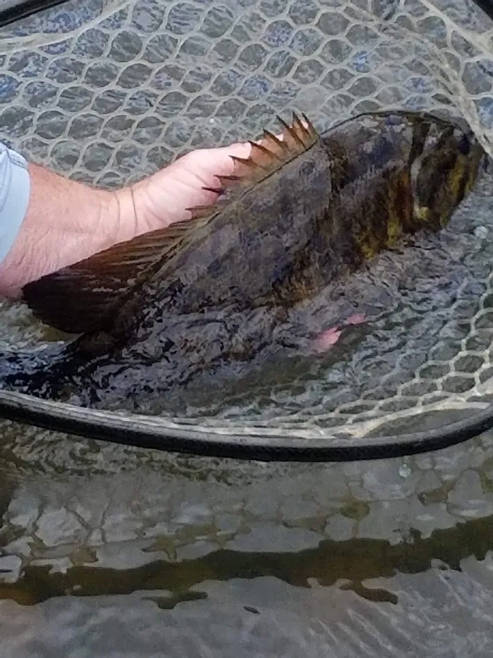 Alternative text for describing the image displayed