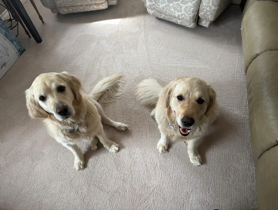 Placeholder image for ABOUT