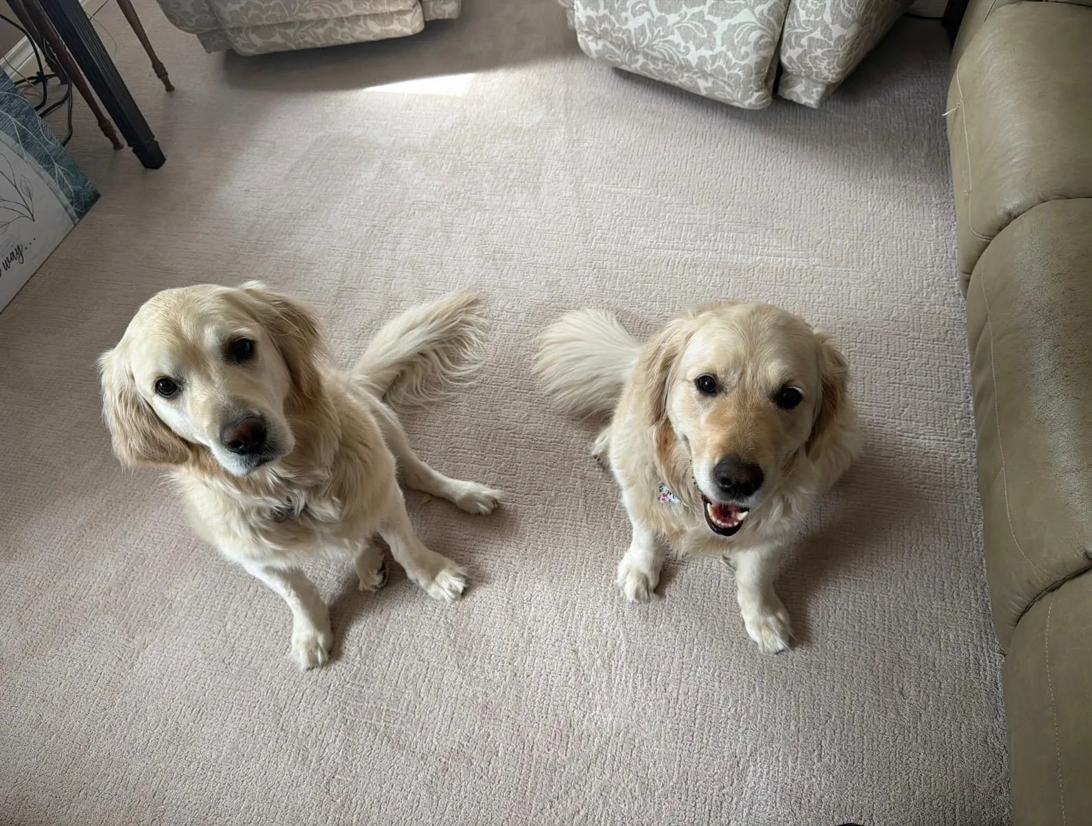 Alternative text for describing the image displayed