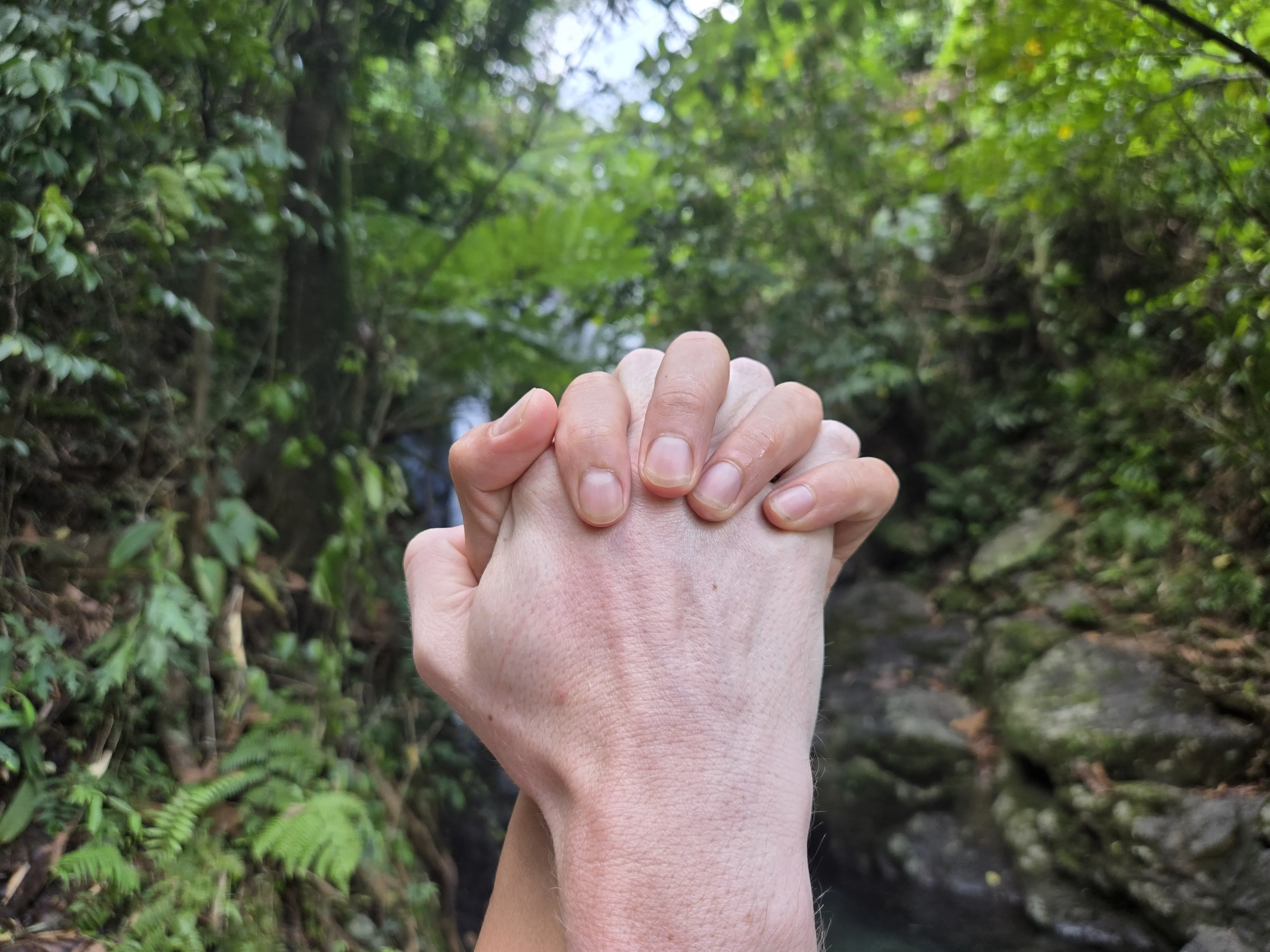 Alternative text for describing the image displayed