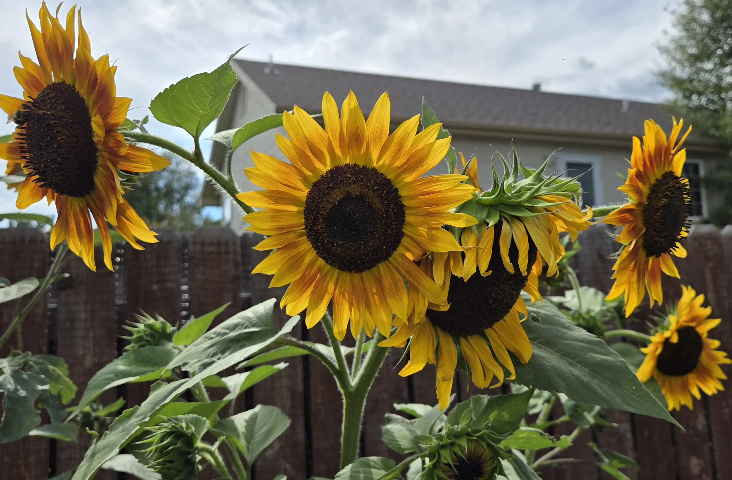 Placeholder image for PRODUCT