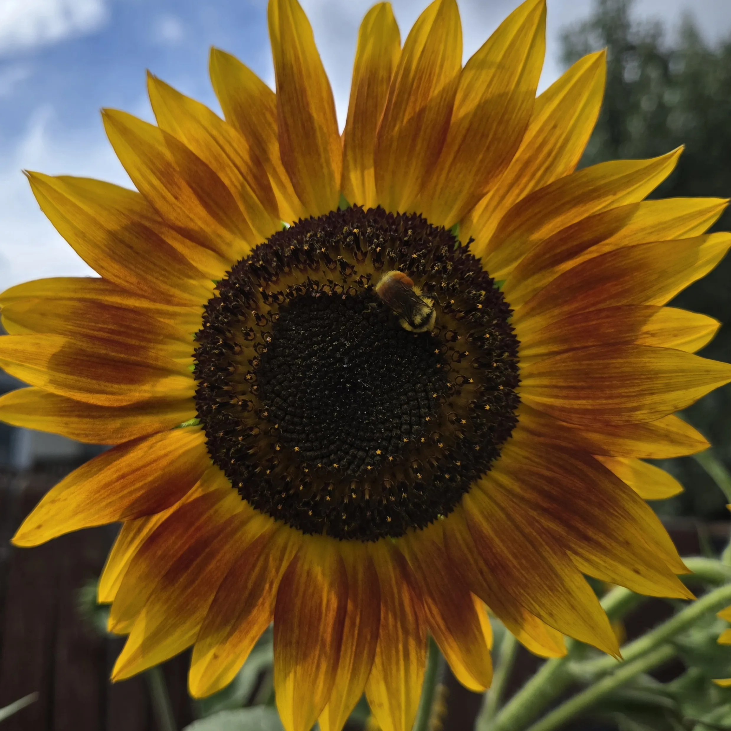 Placeholder image for PRODUCT