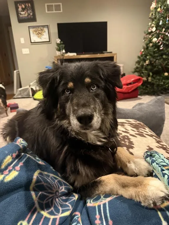 Placeholder image for PRODUCT