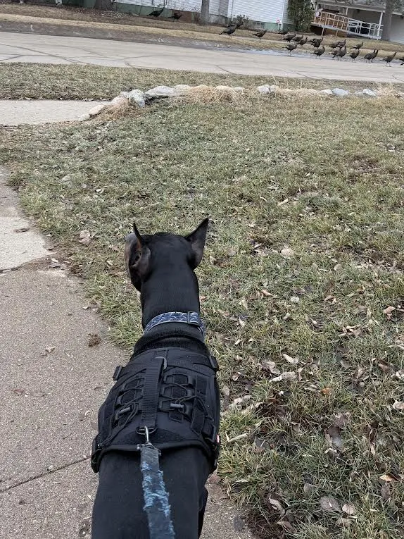 Placeholder image for PRODUCT