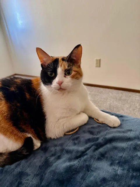 Placeholder image for PRODUCT