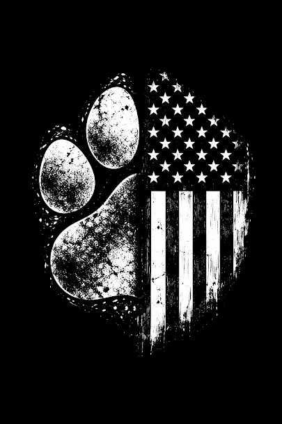 Placeholder image for ABOUT