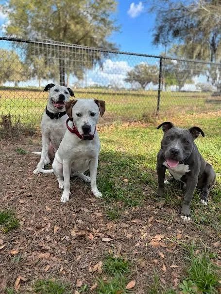 Placeholder image for PRODUCT