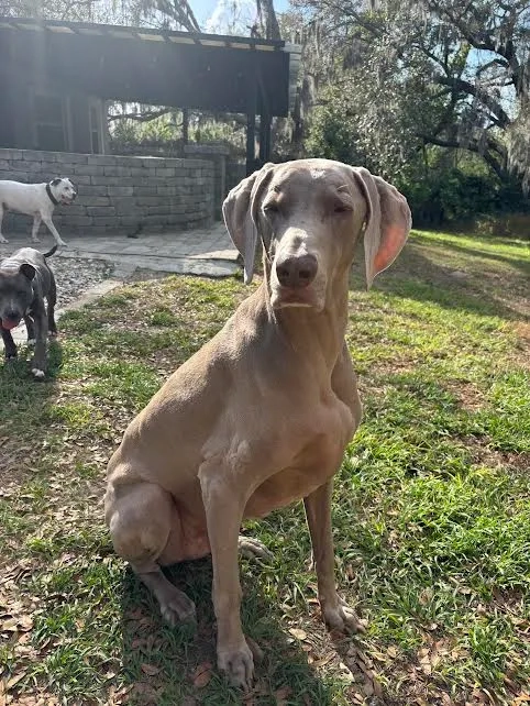 Placeholder image for PRODUCT