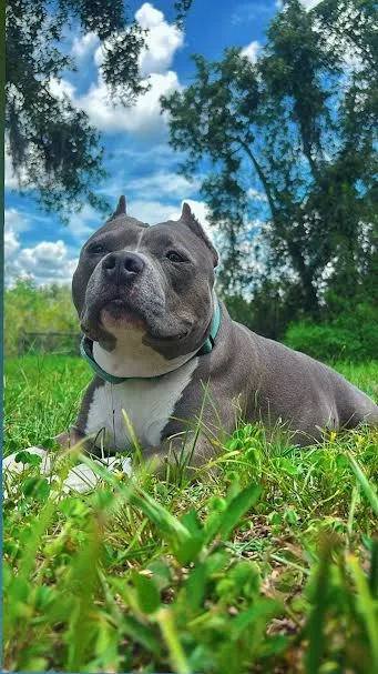 Placeholder image for PRODUCT