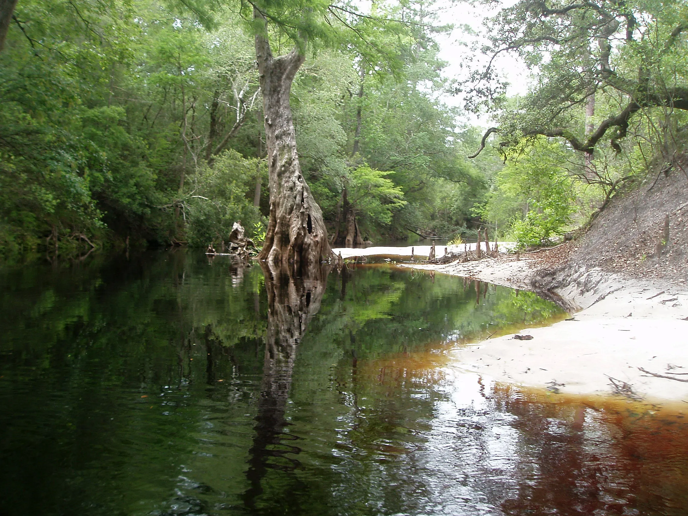 Alternative text for describing the image displayed