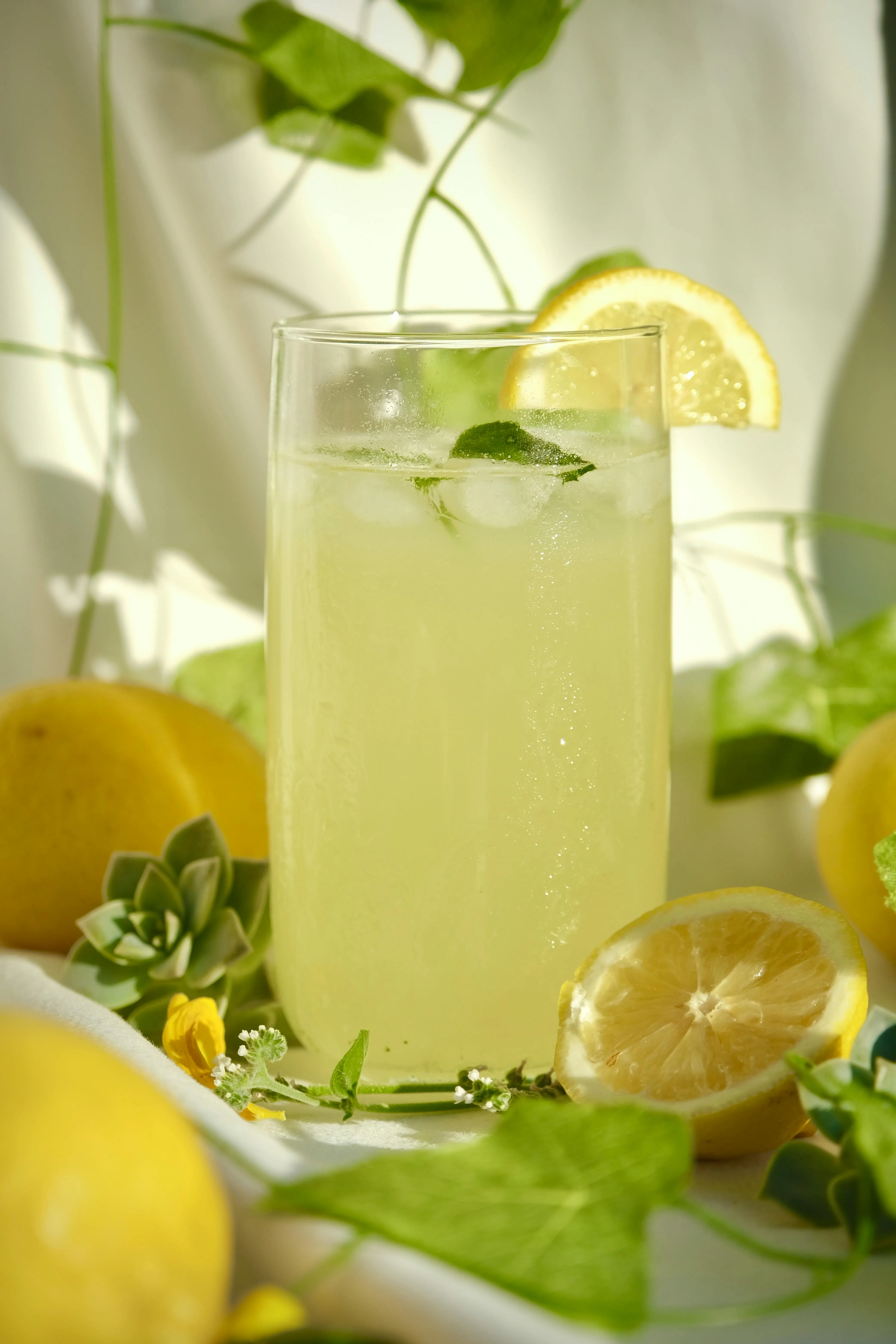 Placeholder image for PRODUCT