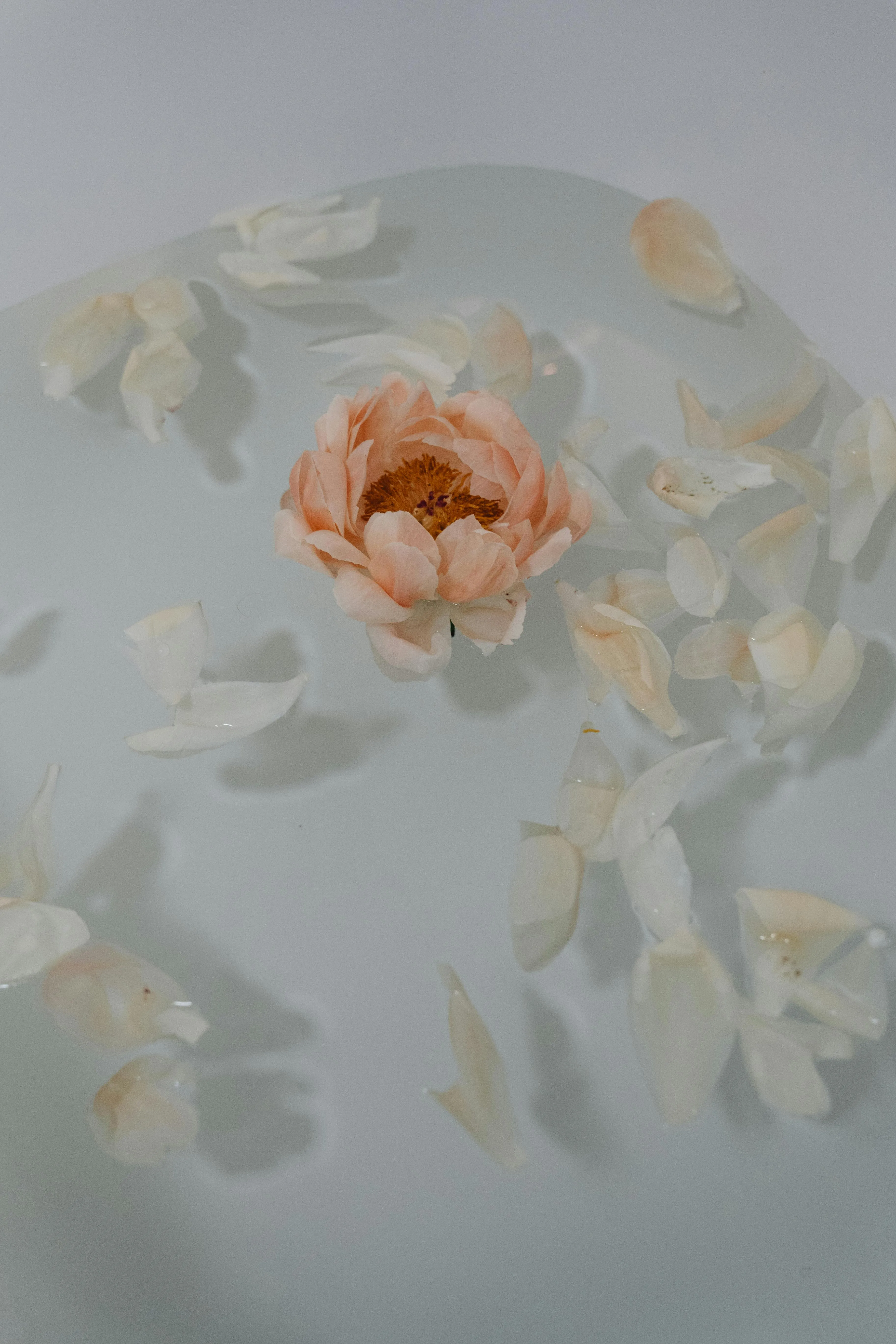 Alternative text for describing the image displayed