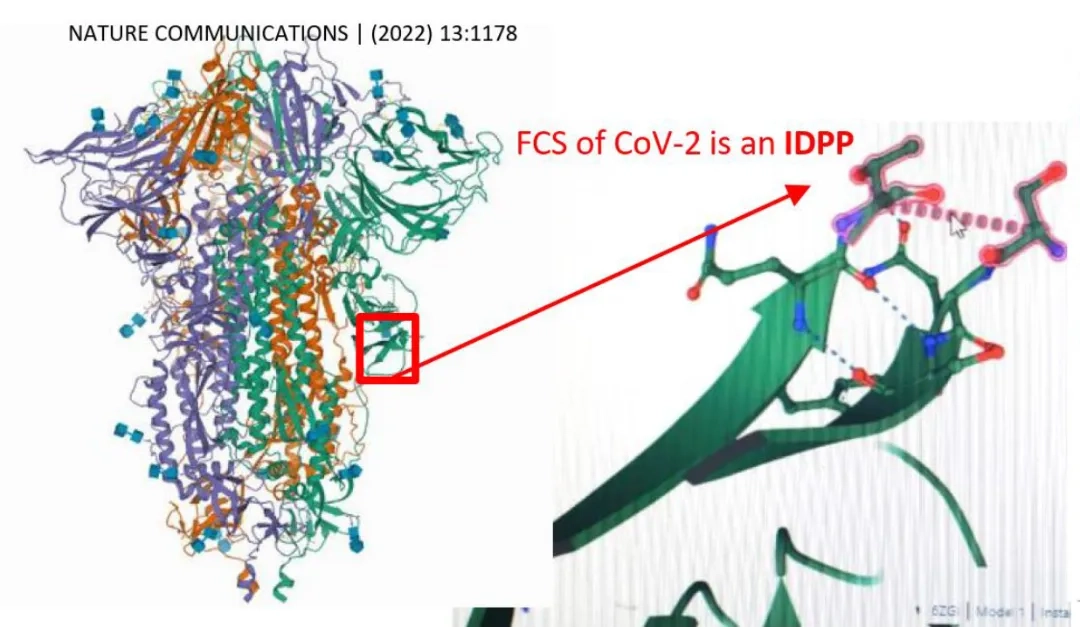 Placeholder image for ABOUT