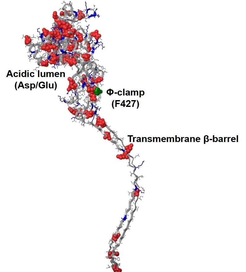 Placeholder image for PRODUCT