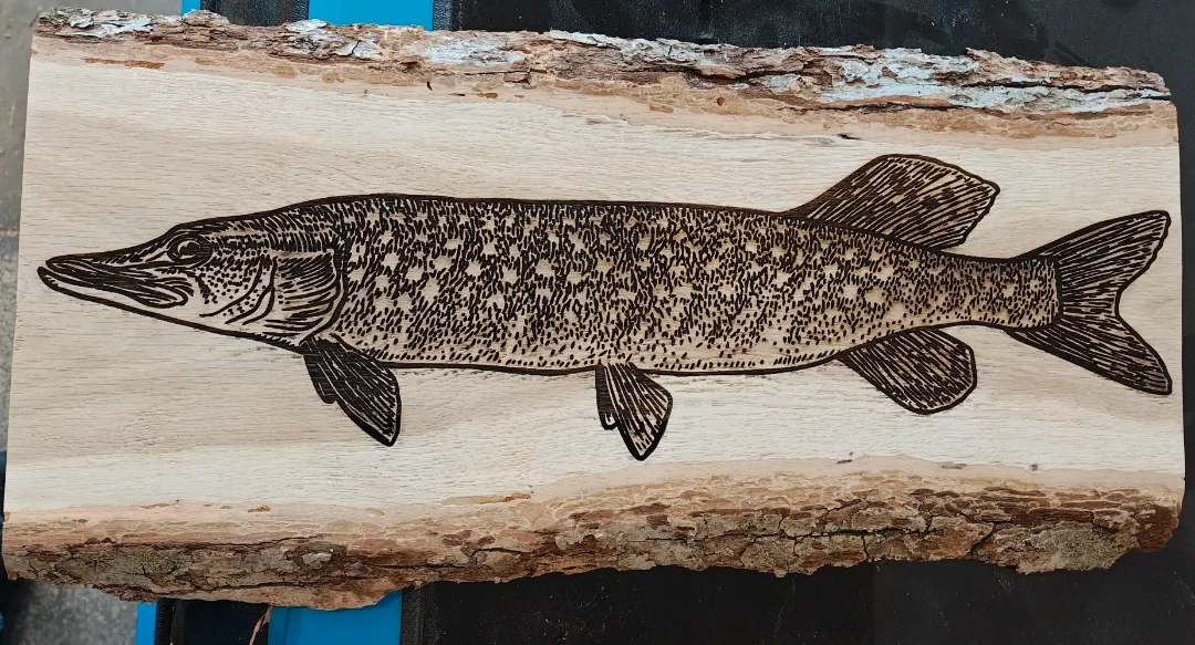 Placeholder image for ABOUT