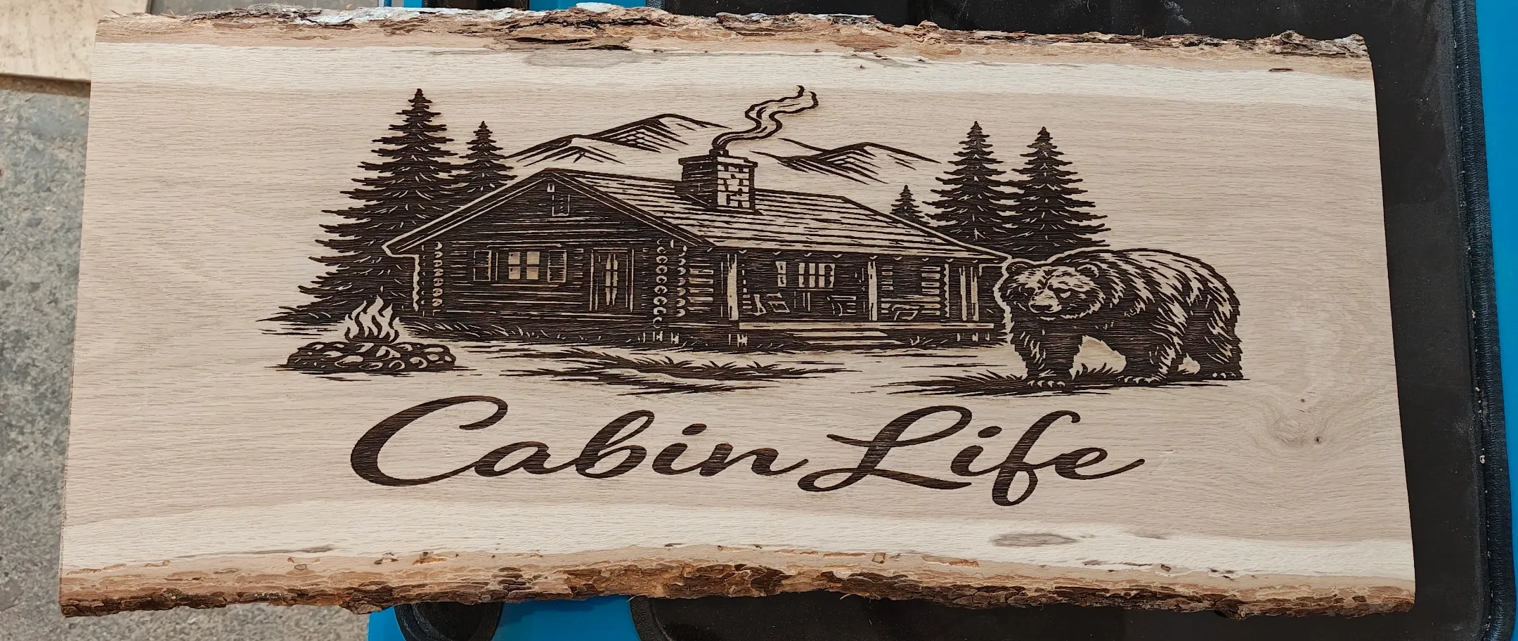 Alternative text for describing the image displayed