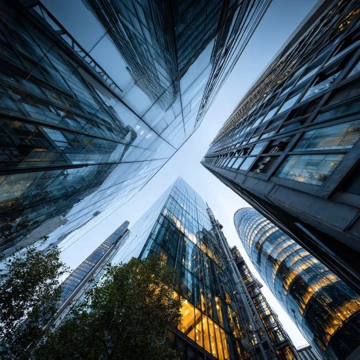 Alternative text for describing the image displayed