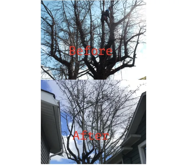 Placeholder image for PRODUCT