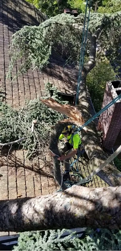 Placeholder image for PRODUCT