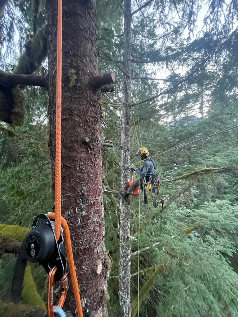 Placeholder image for PRODUCT