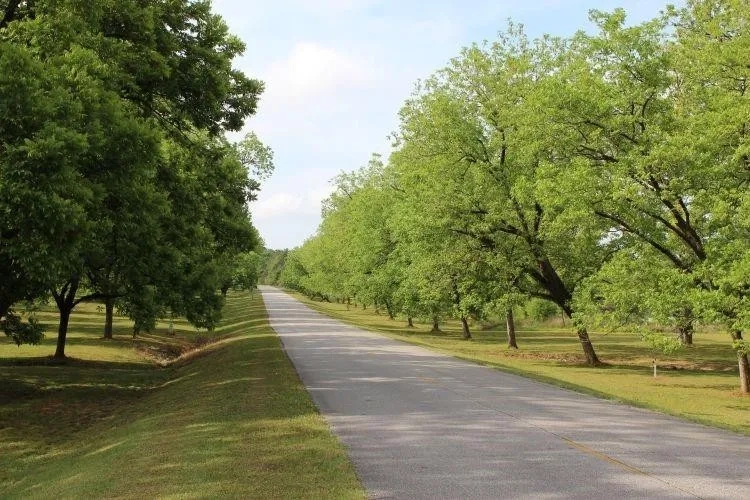 Alternative text for describing the image displayed