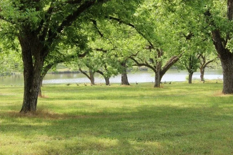 Beatrice Farming LLC