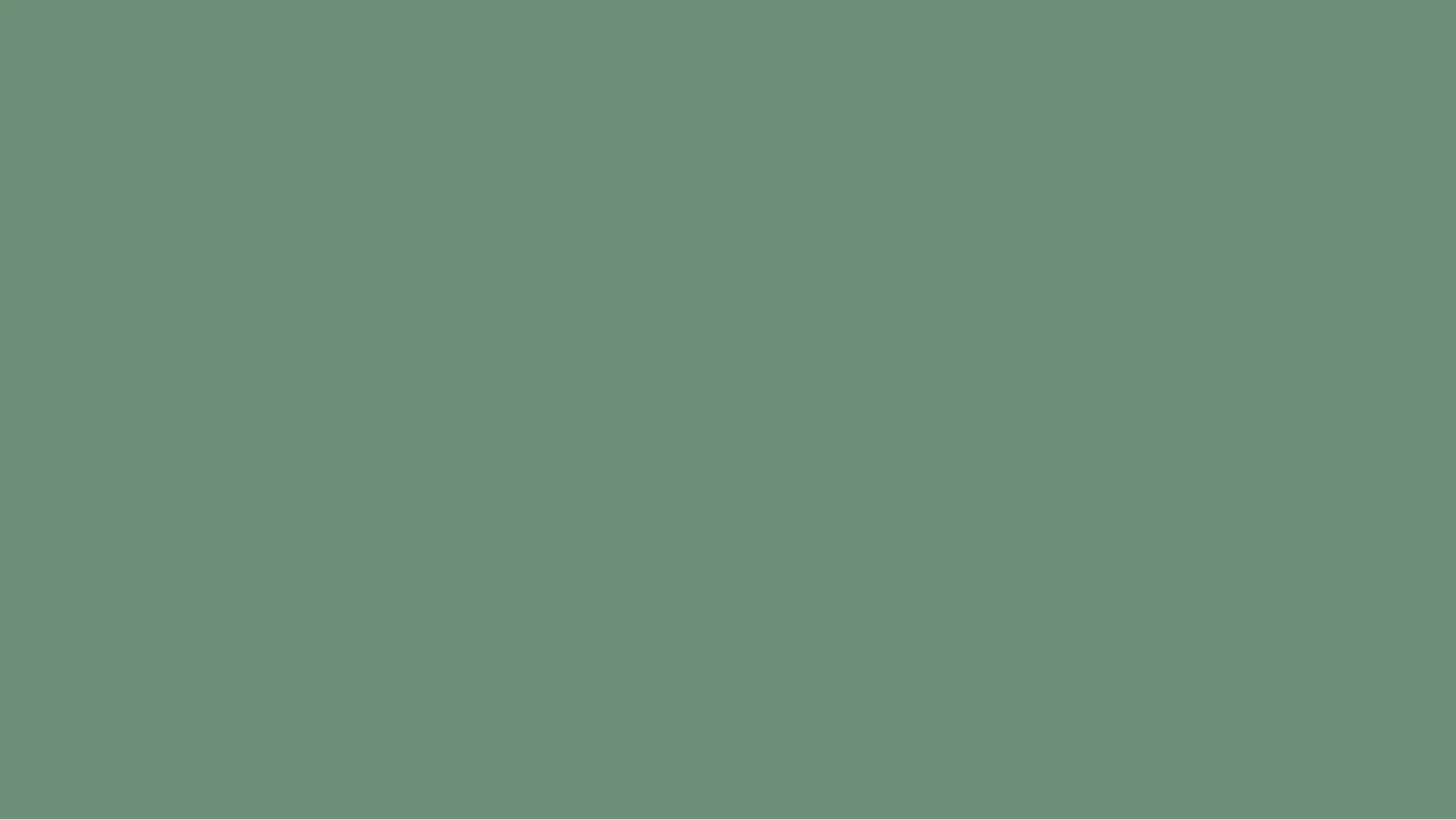 Alternative text for describing the image displayed