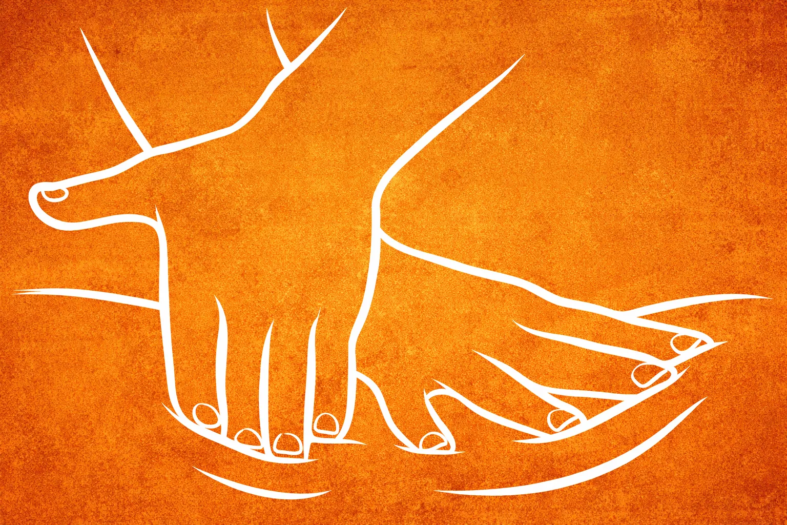 Alternative text for describing the image displayed