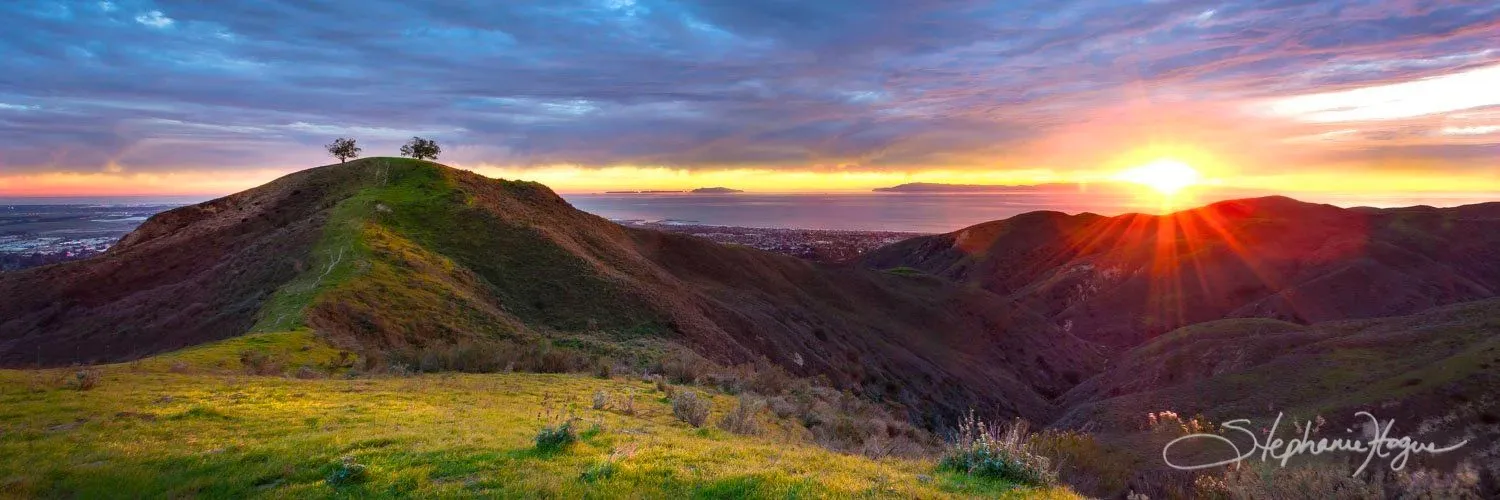 Alternative text for describing the image displayed