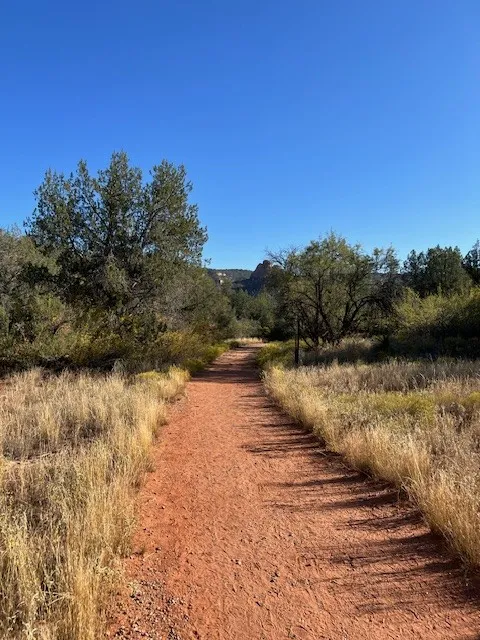 Alternative text for describing the image displayed