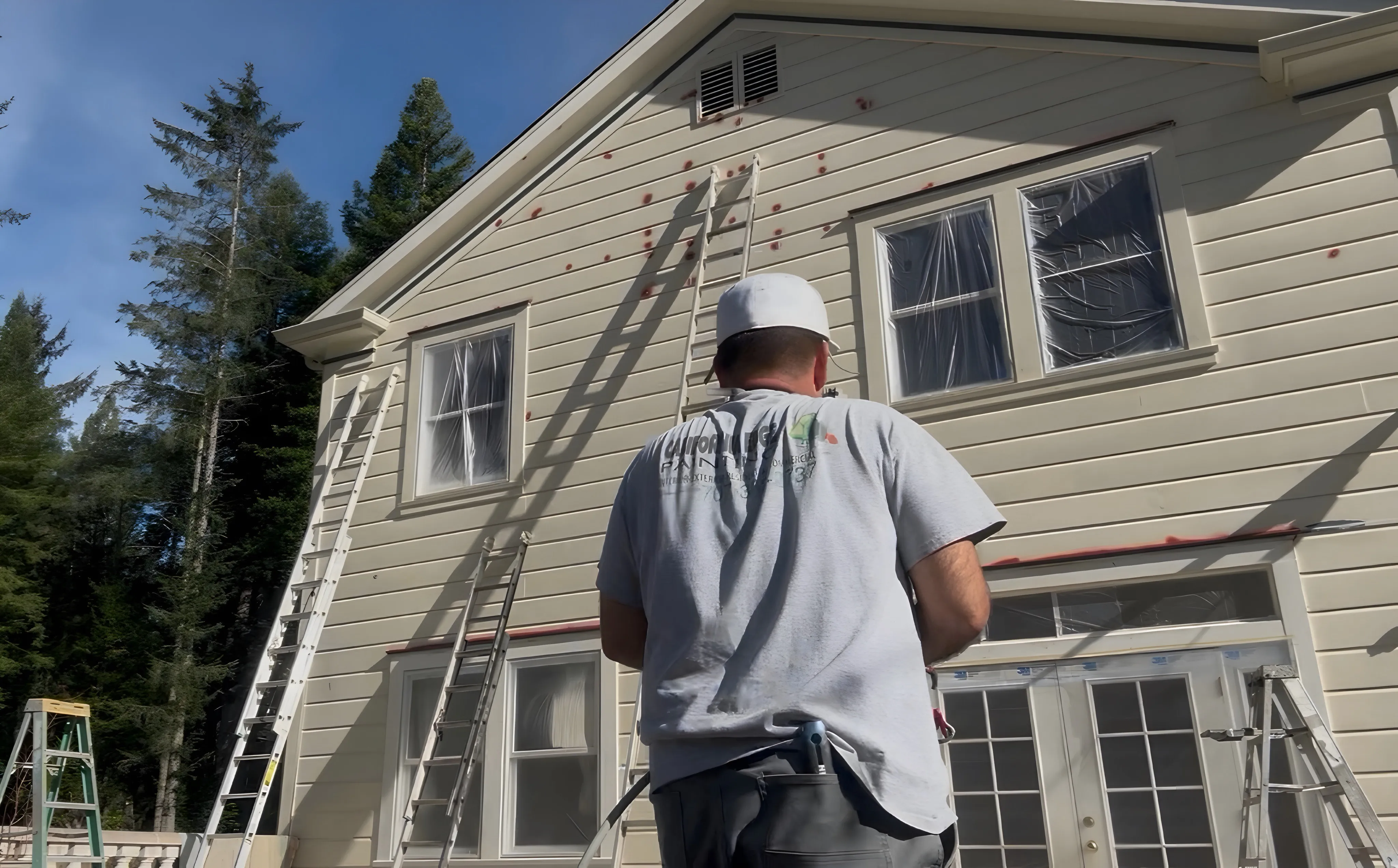 Alternative text for describing the image displayed