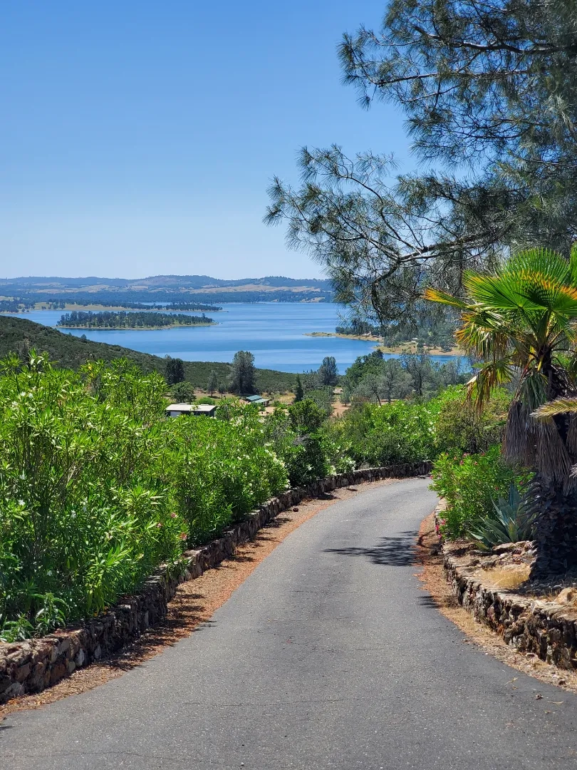 Placeholder image for ABOUT