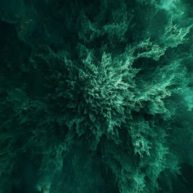 Alternative text for describing the image displayed