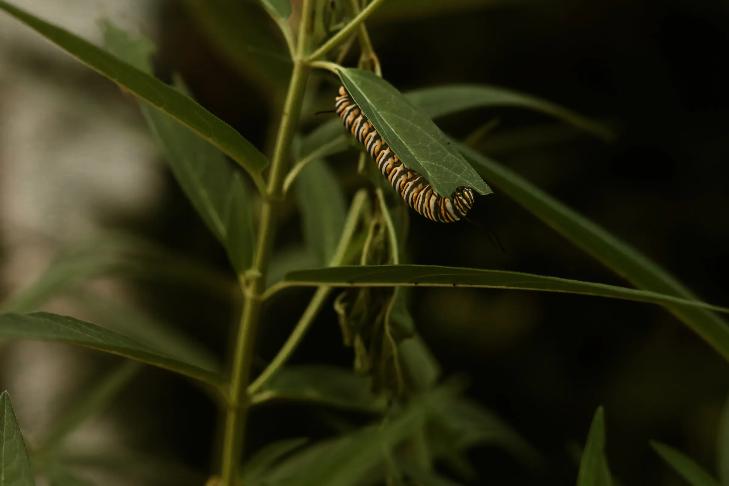 Placeholder image for ABOUT