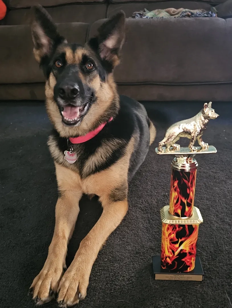 Placeholder image for PRODUCT