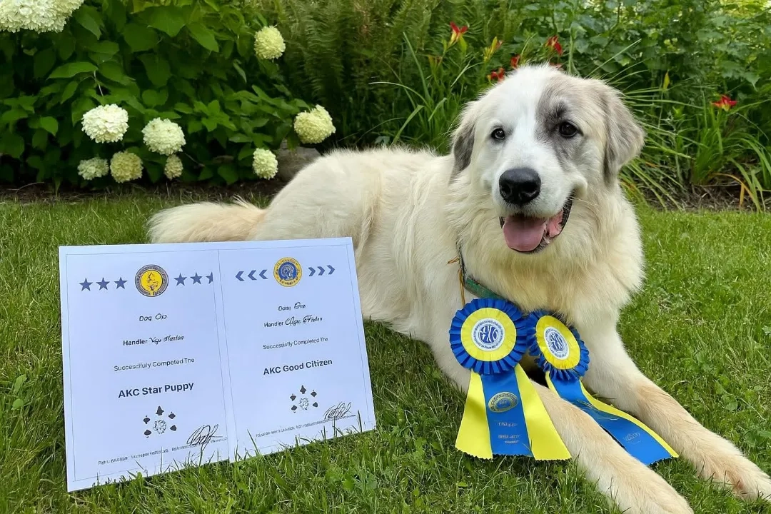 Placeholder image for PRODUCT