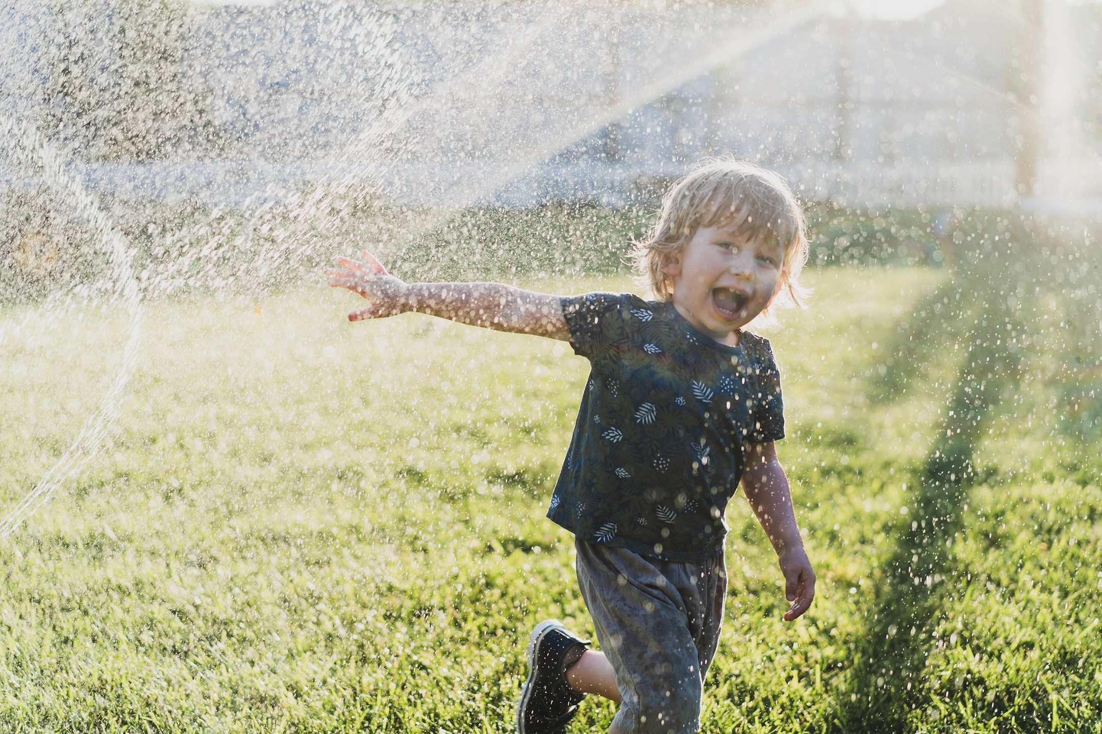 Alternative text for describing the image displayed