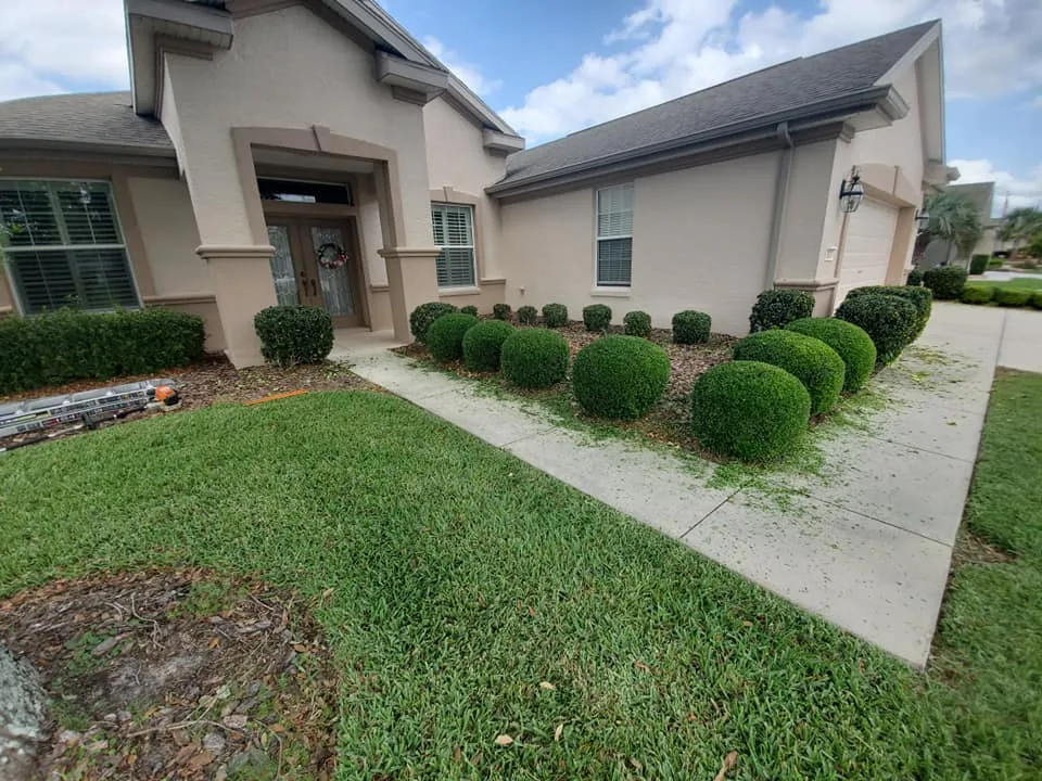 Placeholder image for ABOUT