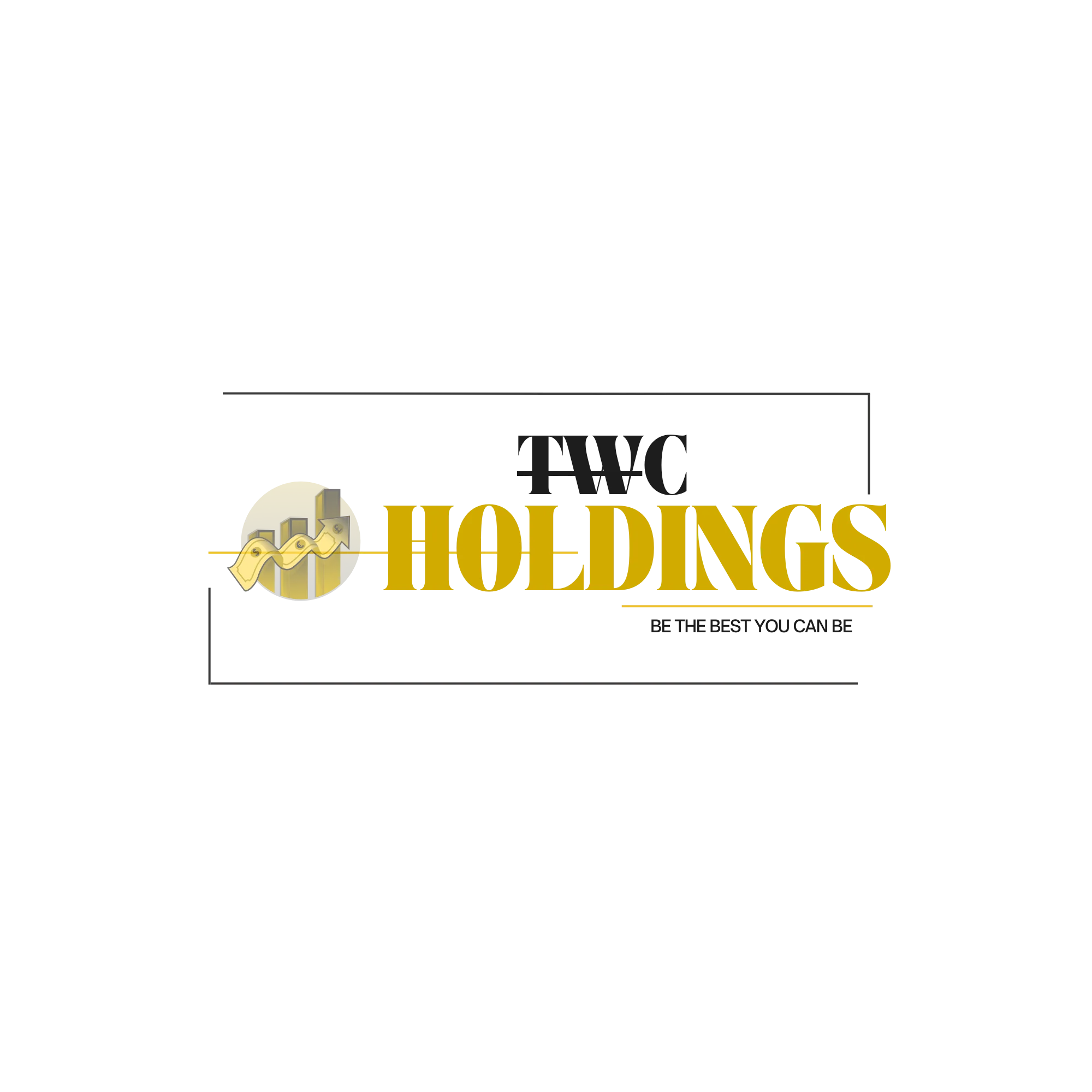 HOLDINGSTWC LLC