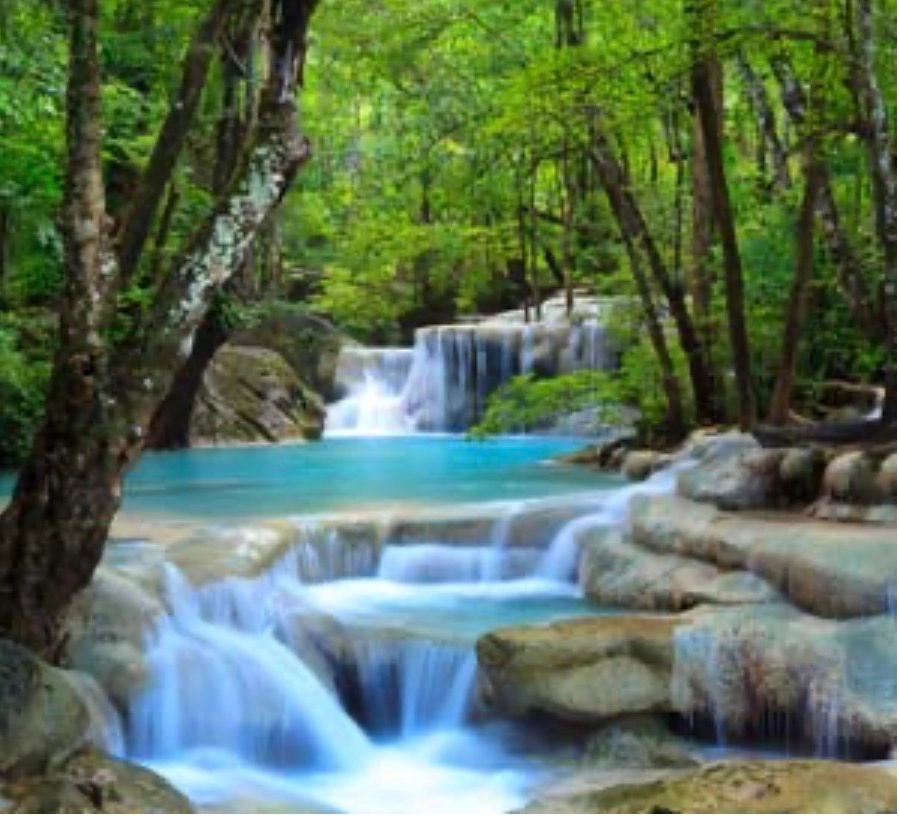 Alternative text for describing the image displayed