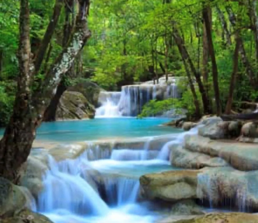 Alternative text for describing the image displayed