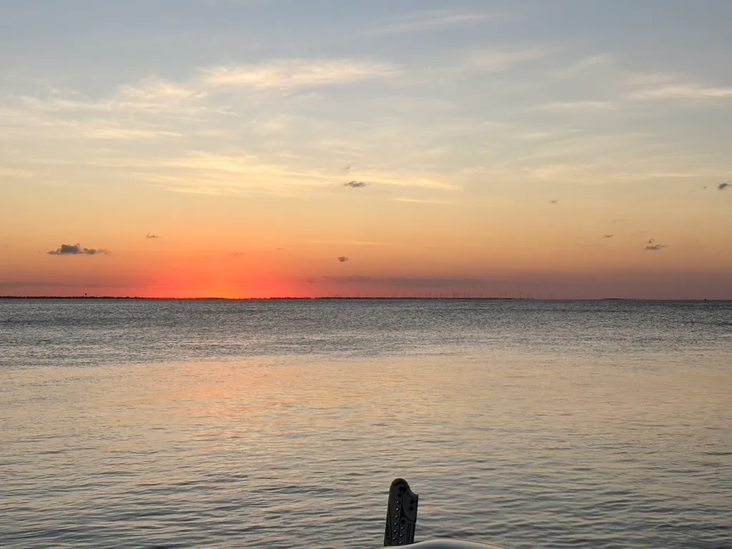 Alternative text for describing the image displayed