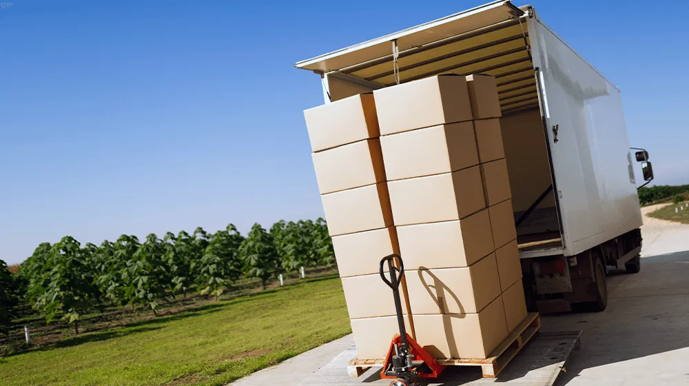 Placeholder image for ABOUT