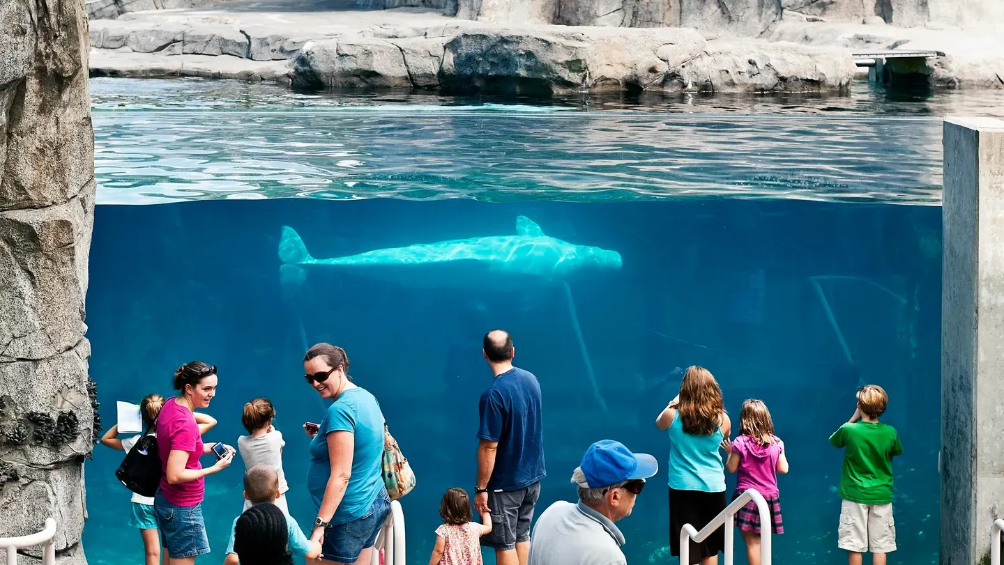 Placeholder image for PRODUCT