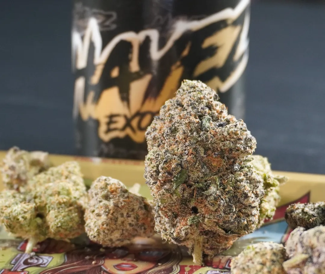 Placeholder image for ABOUT