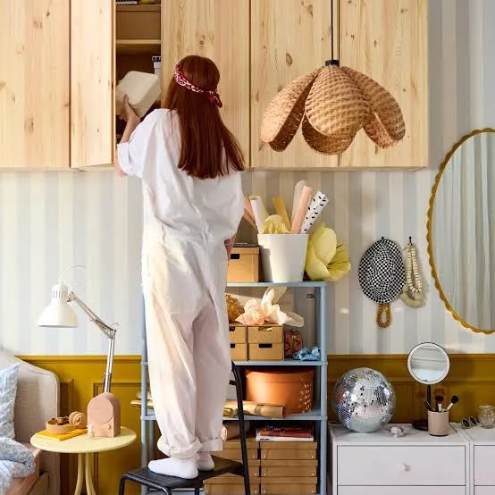 Alternative text for describing the image displayed