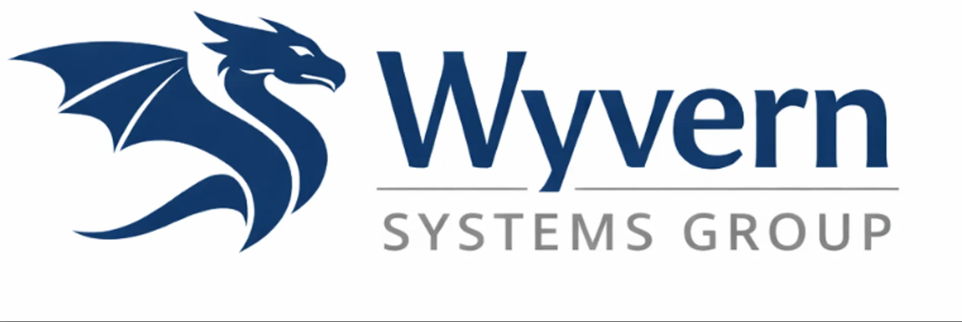Wyvern Systems Group