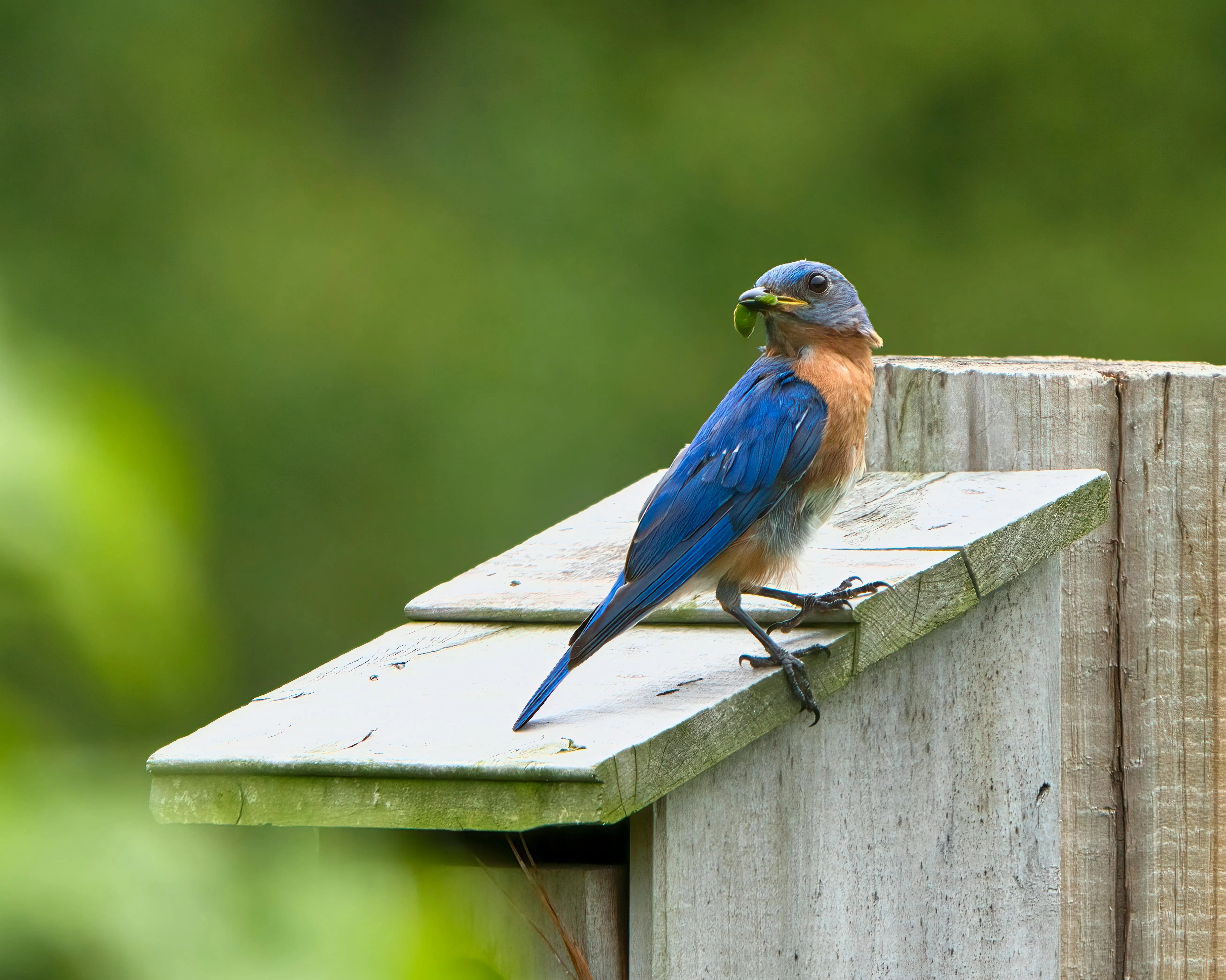 Placeholder image for PRODUCT